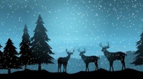 La odisea de Unelma, Tavoite y Erityinen – Cuento de Navidad 2019