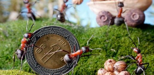 ¿Cuáles son los 5 principales gastos hormiga durante las vacaciones?